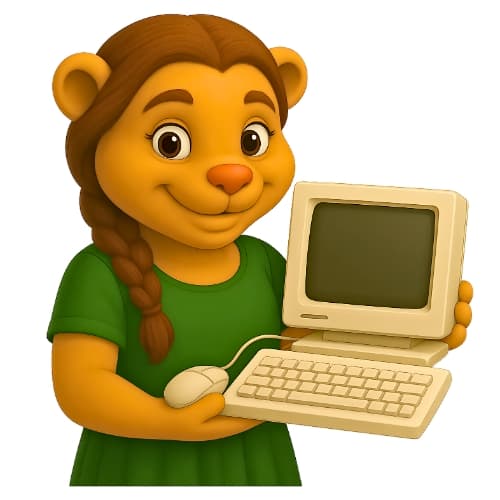 Computer and Accessories