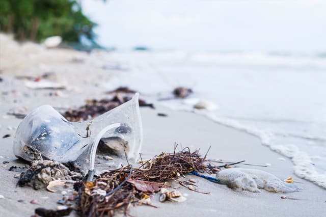 A collection of clean, sorted recyclable materials including plastic bottles, paper, and cardboard